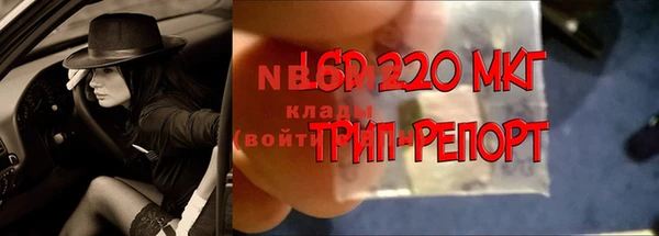 молекула духа Балахна