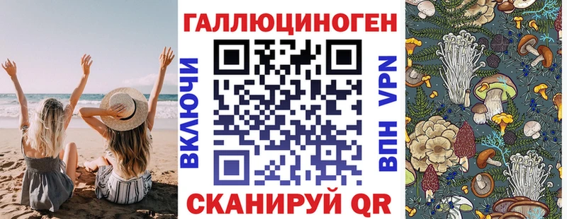 Галлюциногенные грибы Cubensis  цены наркотик  blacksprut рабочий сайт  Майкоп 